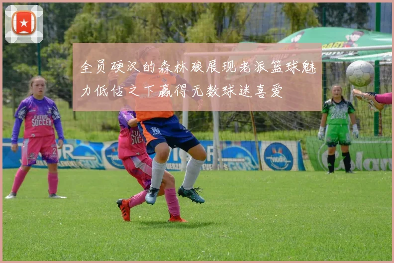 全员硬汉的森林狼展现老派篮球魅力低估之下赢得无数球迷喜爱